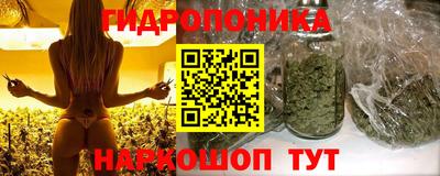 эйфоретик Бузулук