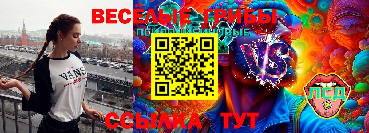 Галлюциногенные грибы Psilocybine cubensis  Вход с VPN  Верхняя Пышма 